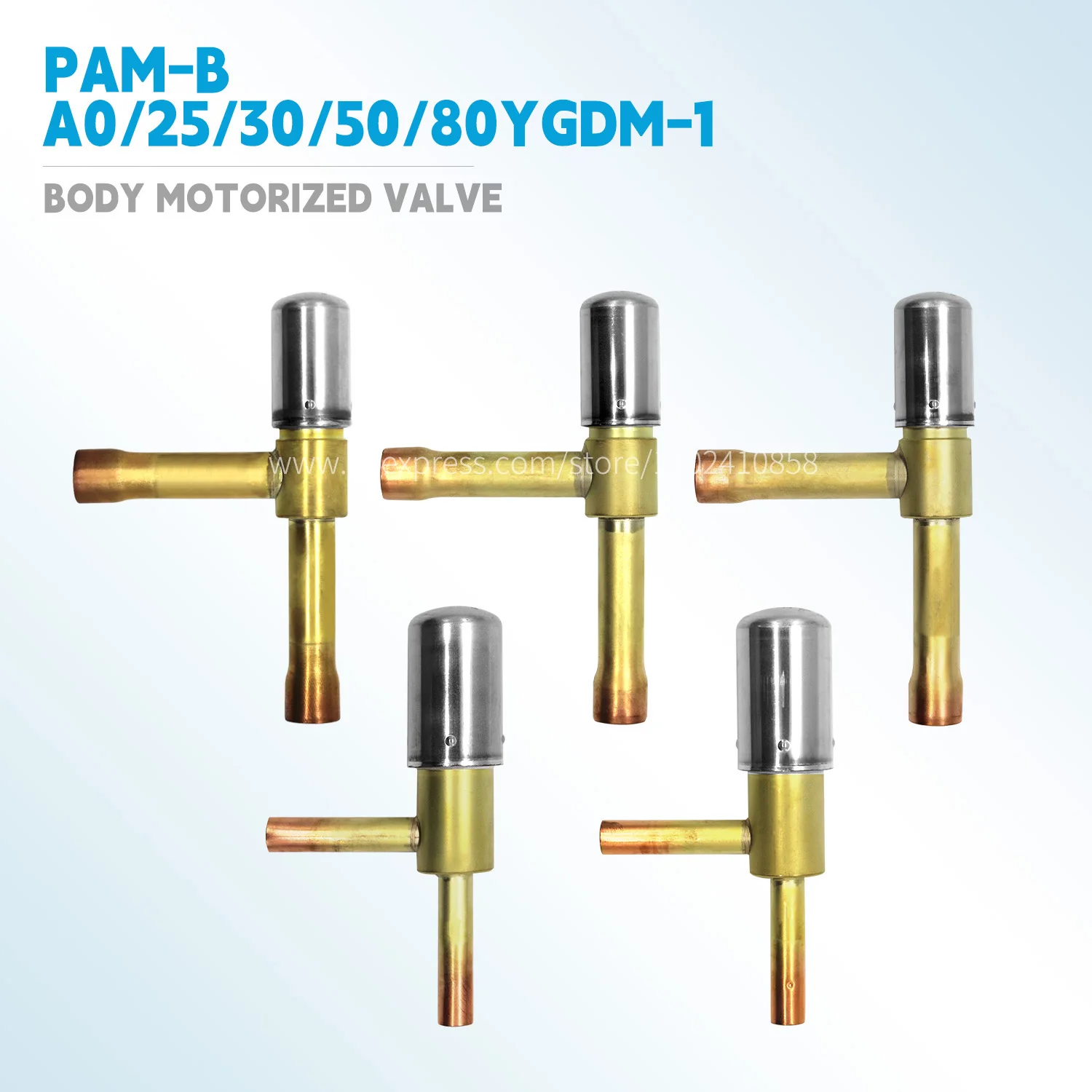 

Body Motorized Valve 2061568 6024151 6024150 2061551 2061544 2538013-17-18 3S500020-4-5 3SA50107-1-3-4 PAM-B25-30-50-80-A0YGDM-1