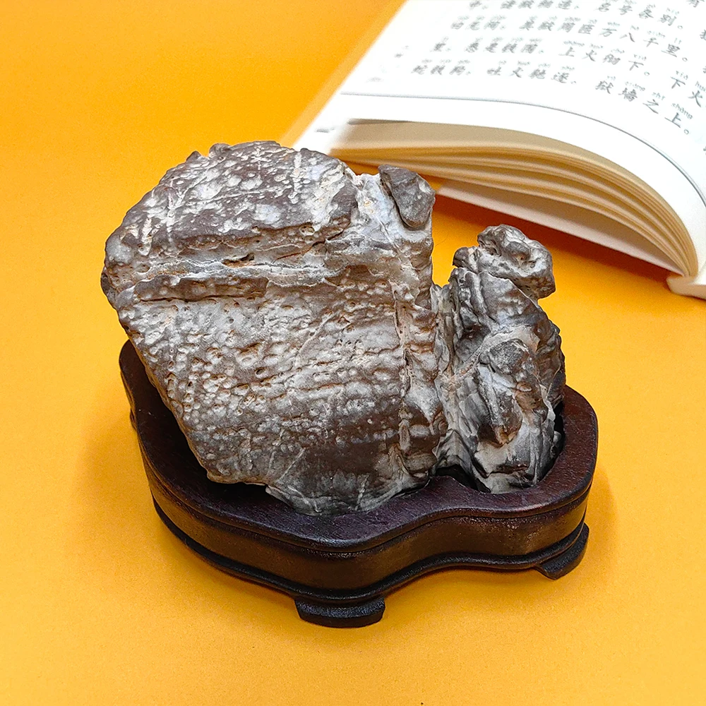 Dragon-Shaped Suiseki Room Decoration Reiki Asian Natural Stone Precision Mountain Landscape Rock Crystal Water Feature