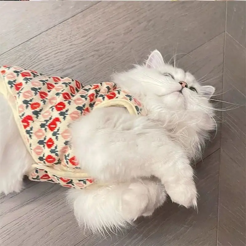 Cute Warm and Thickened Pet Puppy Clothes Cute Small Dog Schnauzer Cat Pomeranian Autumn and Winter