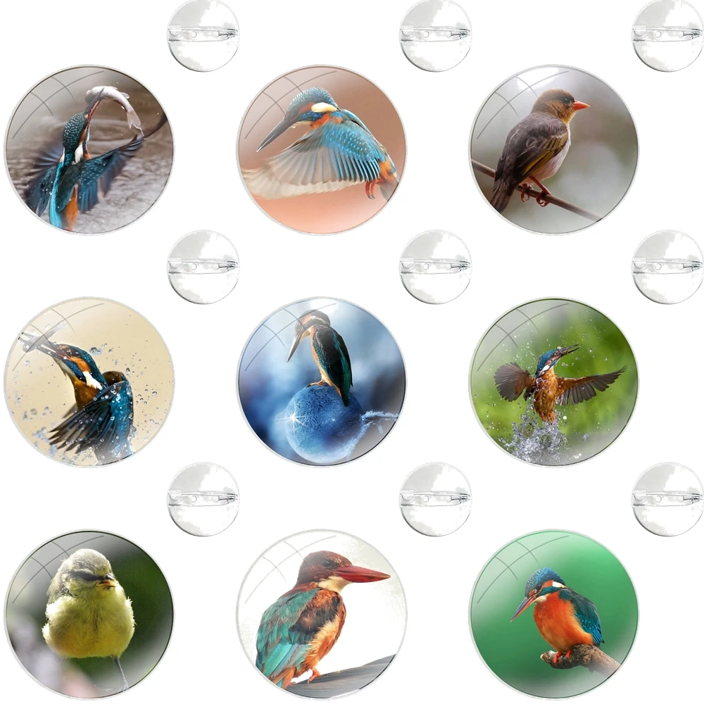 Pins Badge Metal Brooches For Clothes Backpack Decoration gift Cute Beautiful Bird Kingfisher