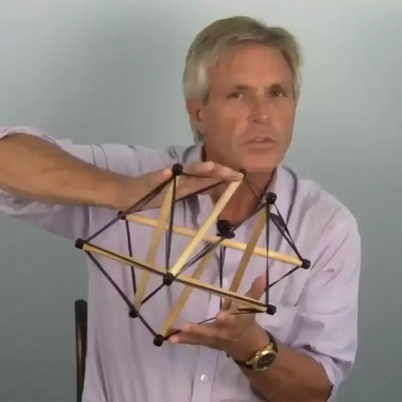Pelvic tension overall structure model, fascia tension teaching model