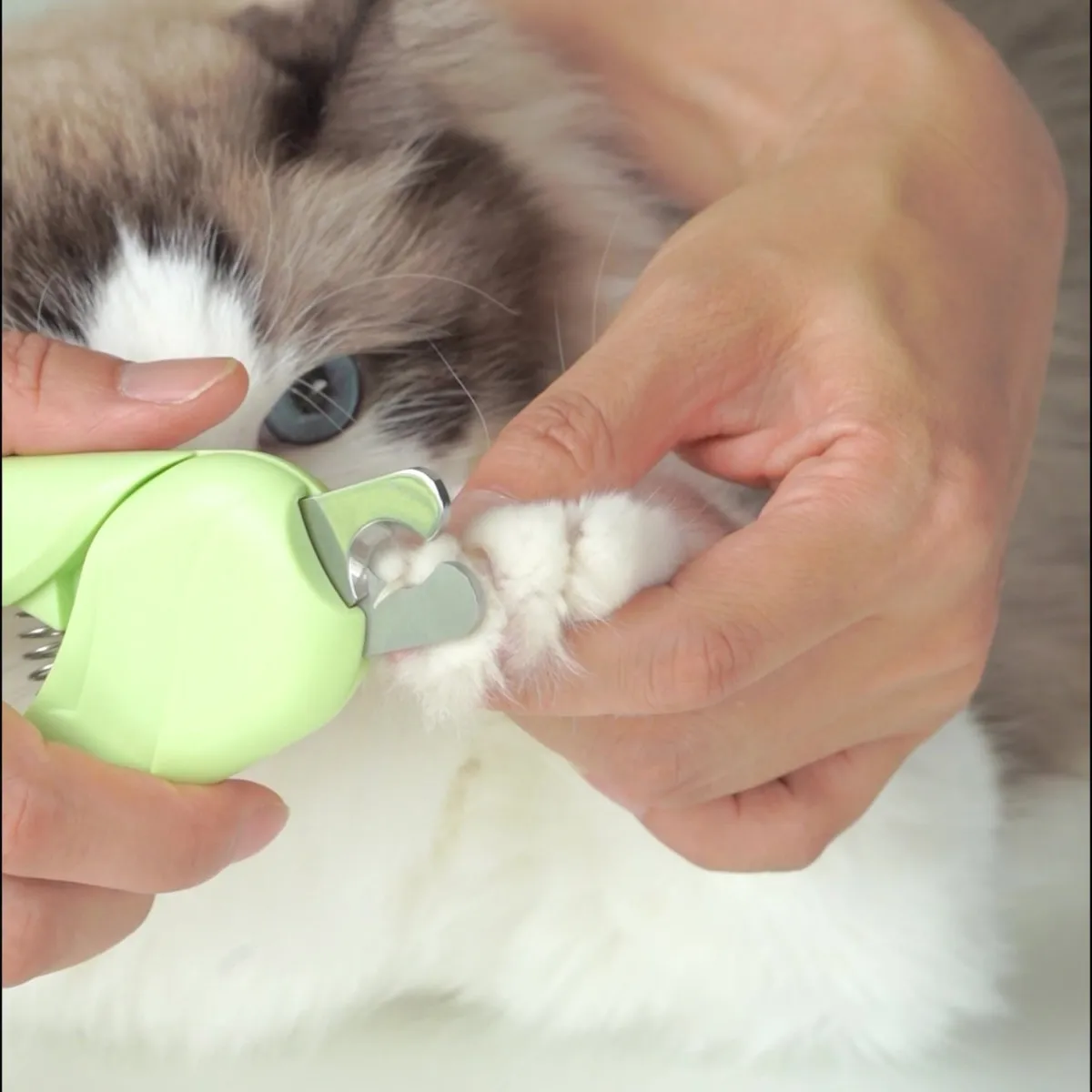

Pet Cat Nail Clippers Dog Grooming Supplies Beauty Care Nail Scissors Stainless Steel Blade Nail Trimmer