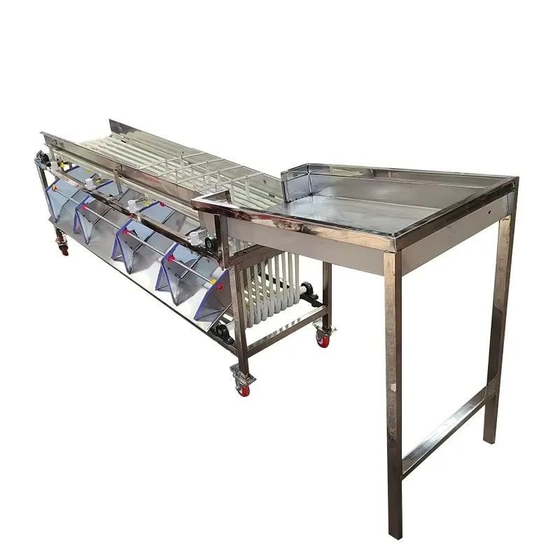 Silicone Belt Type Melon Blueberry Cherry Fruit Dates Onion Potato Nuts Sorting and Grading Machine