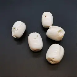 5PCS Old Conch Shell Barrel Beads 20mm TSB0290