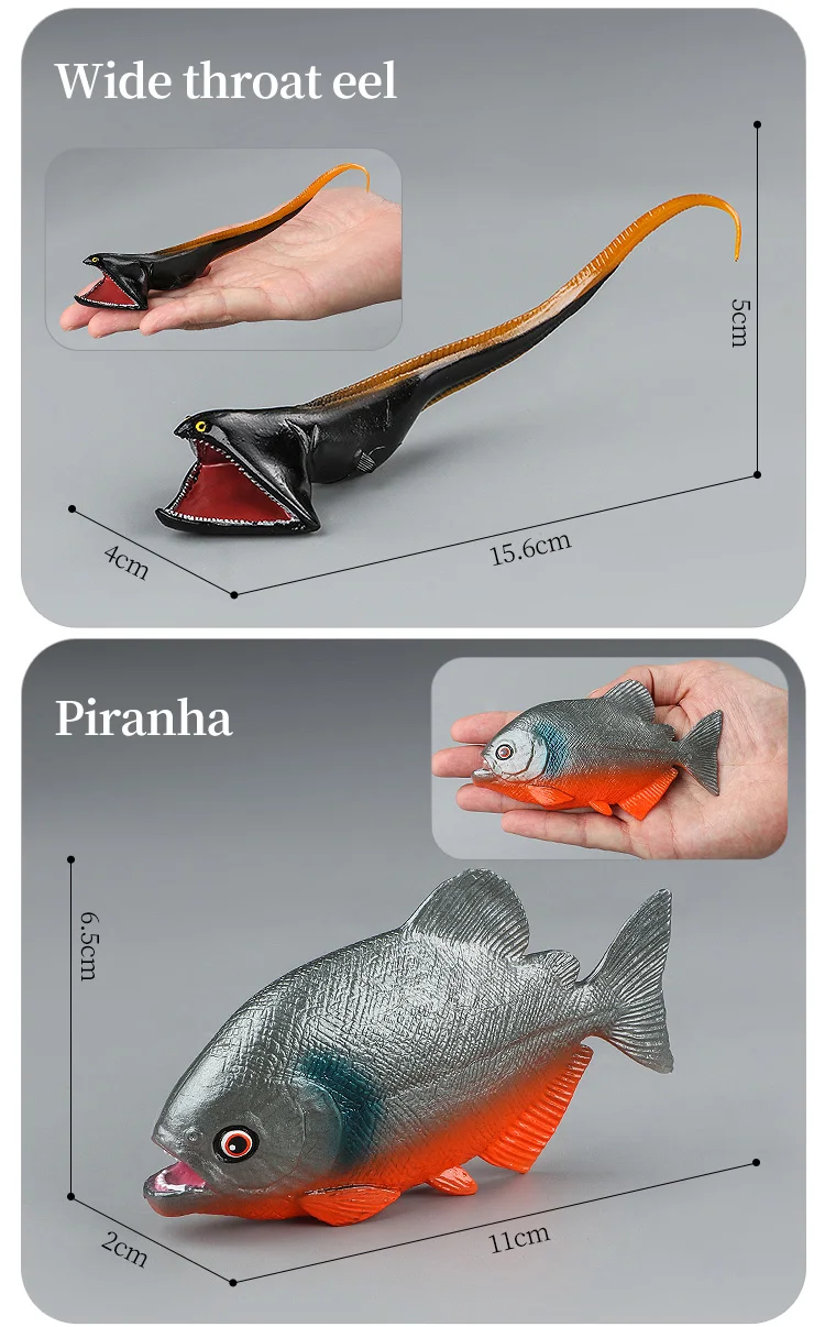 Meeresleben-Tiere-Modell, Actionfiguren-Set – Ozeanfisch, Thunfisch, Segelfisch, Bass, Zacker, Lachs, PVC, Lernspielzeug für Kinder – Detail 19