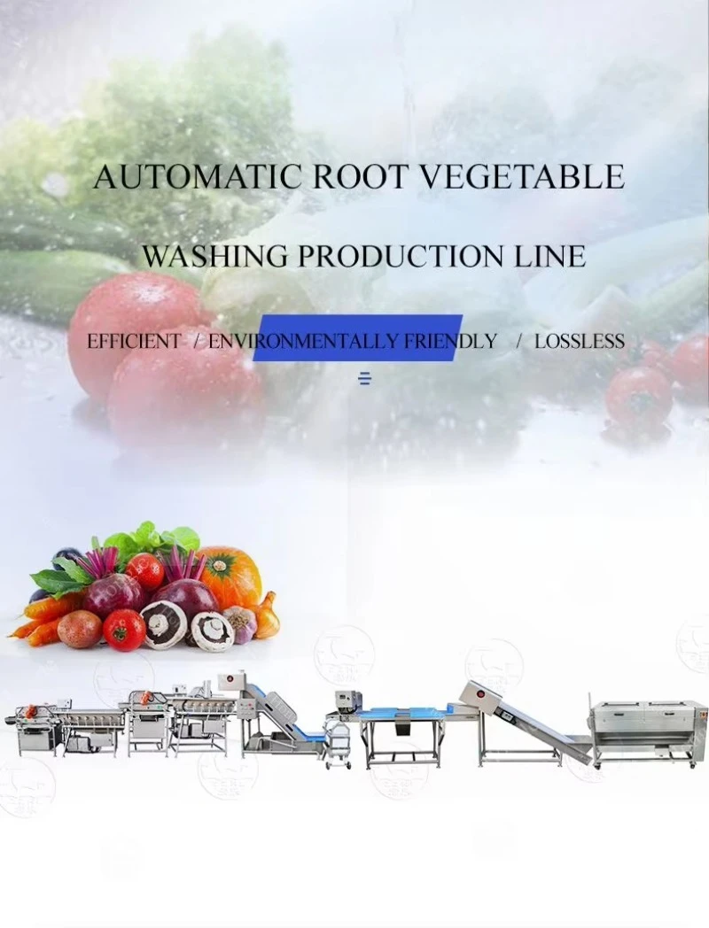 Full Line Fruit Vegetable Brush Sorting Washing Waxing Onion Cutter Packaging Machine Custom