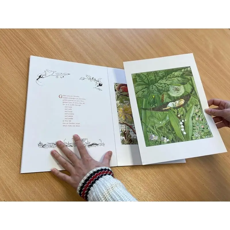 فن إلسا بيسكو 20 مطبوعات قابلة للإطار مطبوعة جدار إسكندنافية عتيقة كتب إلسا بيسكو فلوريس 9781782508861 كتاب