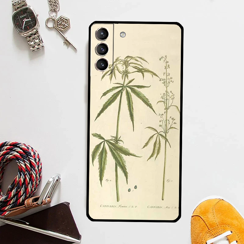 Botanical Drawings Flowers Plants Case For Samsung Galaxy S24 Ultra S23 S22 S21 S20 Plus Note 10 Note 20 S9 S10 S21 FE Cover