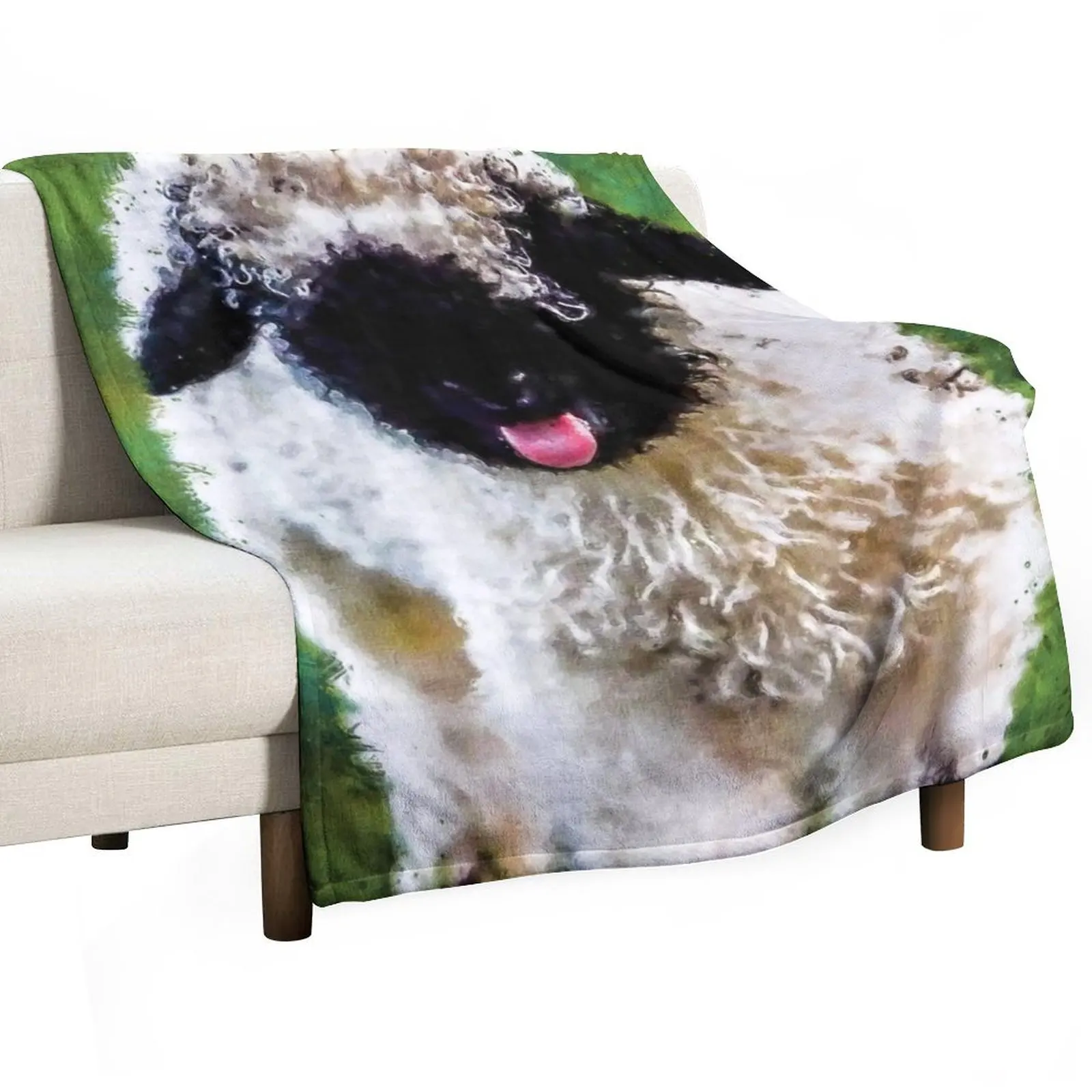 

Swiss Valais Blacknose Sheep, Black Faced Sheep, Cute Baby Farm Animal, Walliser Schwarznasenschaf, Cute Fluffy Sh Throw Blanket