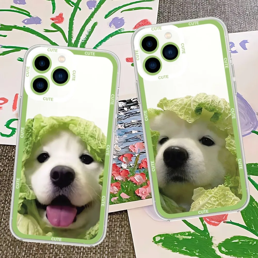 Cute Cabbage Dog Phone Case For iPhone 13 14 Mini 11 12 Pro Max Transparent Shell