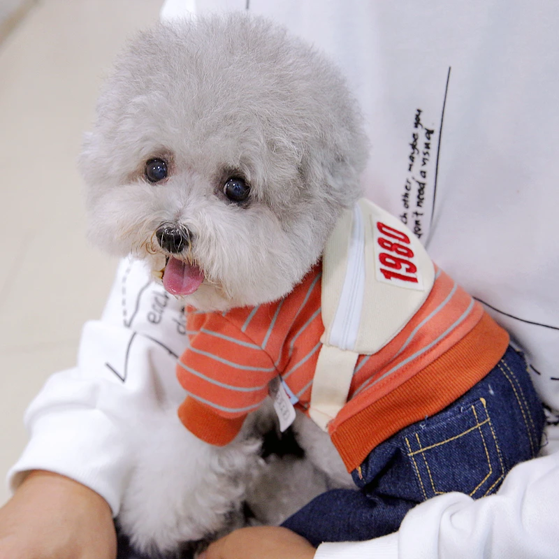 Snow Thicken Jacket For Small Dogs On Sale Puppy Cheap Stripe Pocket Suit With Denim Pant Pet Down Overalls Chihuahua Yorkshire