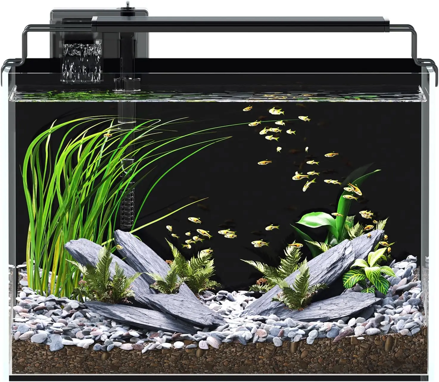 5 Gallon Fish Tank Aquarium Kit with Filter, LED Light with Timer, Siphon Vacuum Cleaner, Lid, Self