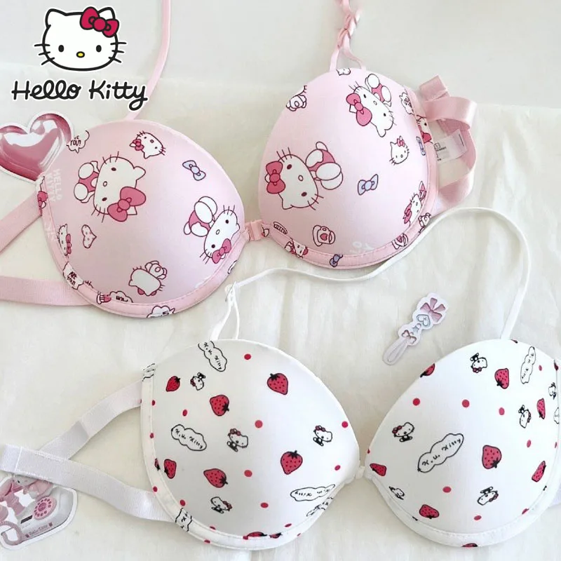 Sanrio Hello Kitty Bra Push Up Bras Women Ultra Lace Bralette Permeability  Seamless Maternity Bra Adjustable Beauty Back Bra