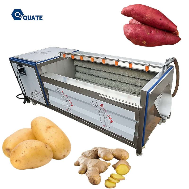 Brush Washing Peeling MachineCarrot Potato Sweet Potato Washing and Peeling Machine