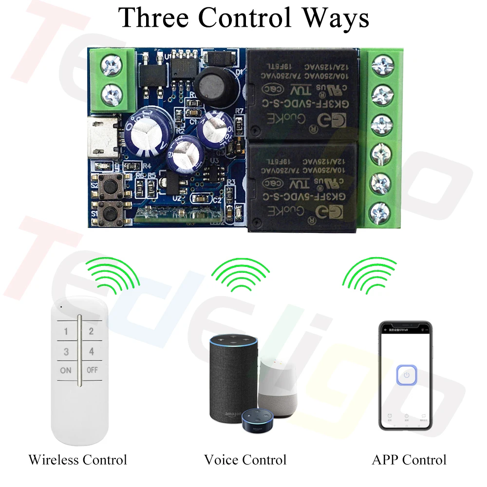 Tedeligo 2.4GHz Ewelink WiFi Smart Switch 12V 24V 48V Garage Motor Gate Light Remote Controller,Timing Receiver Module withAlexa