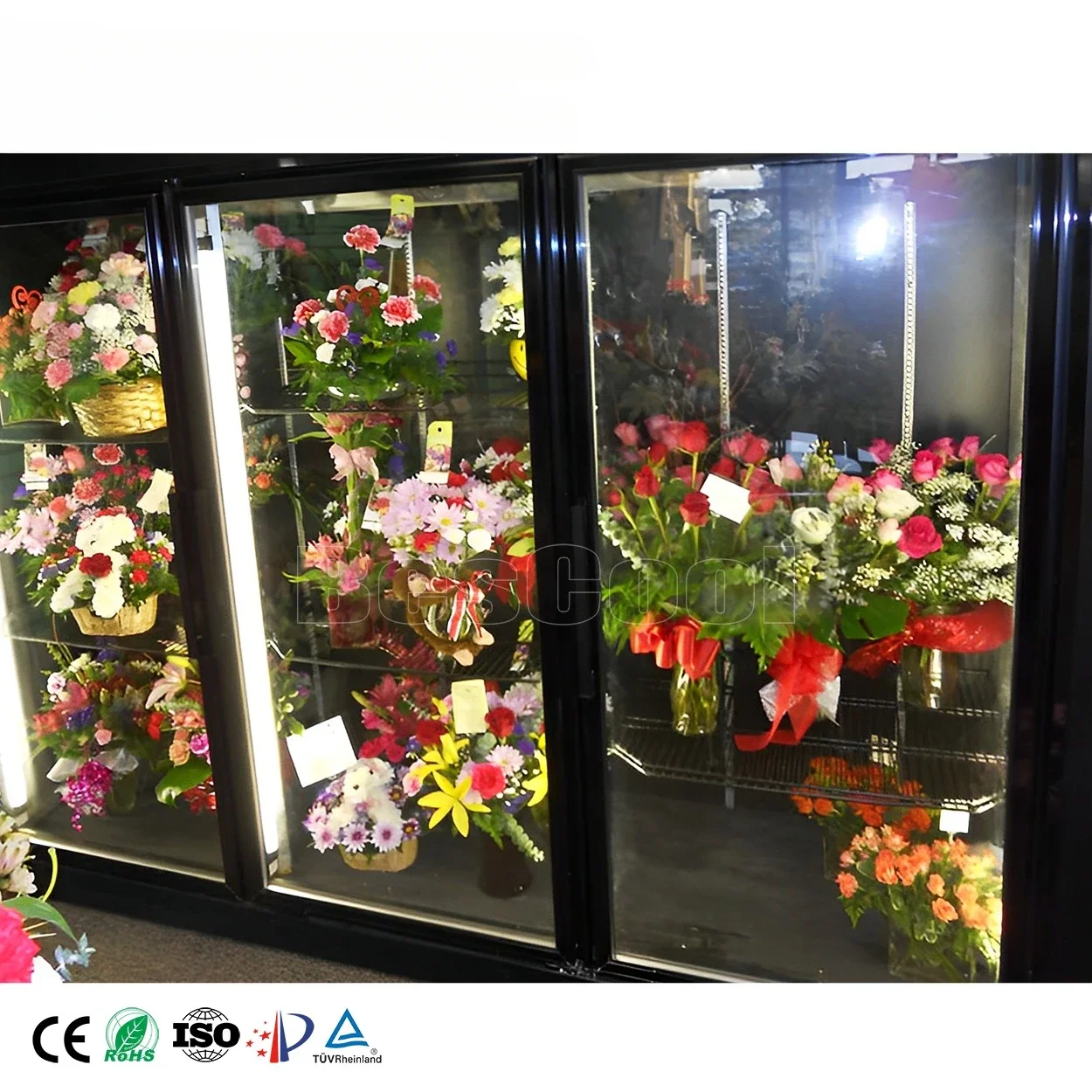 Display Walk in Cooler 100mm Cold Room Storage for Florist & Shop