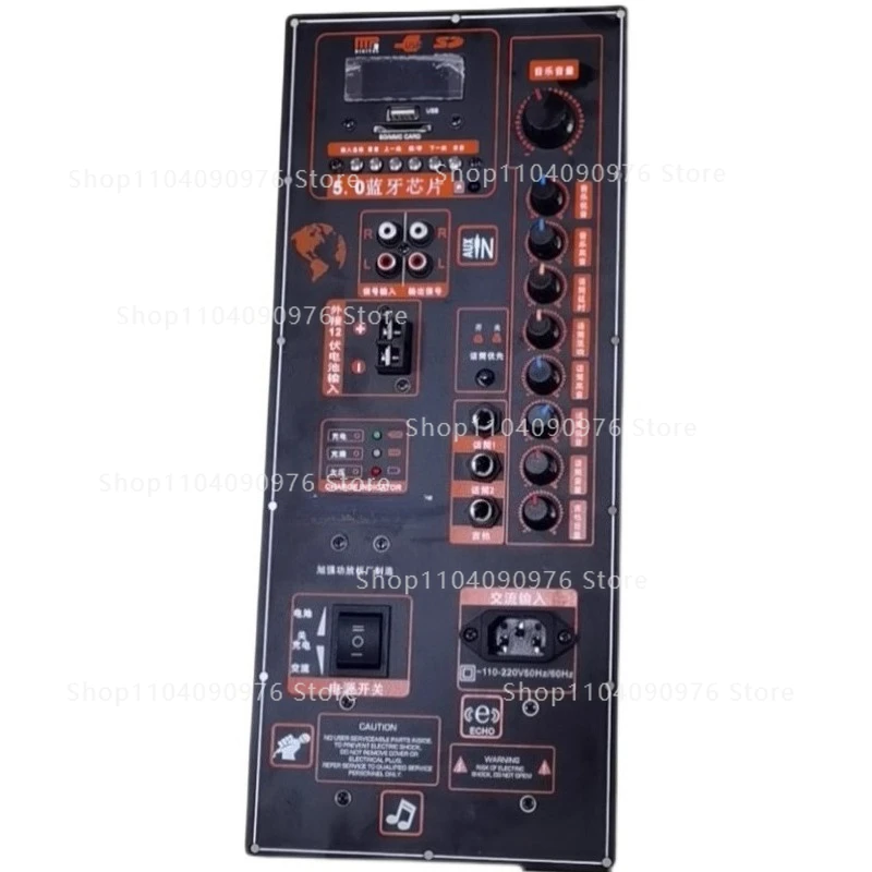 

12V battery 220V high-power square dance power amplifier board portable tie rod mobile speaker power amplifier board