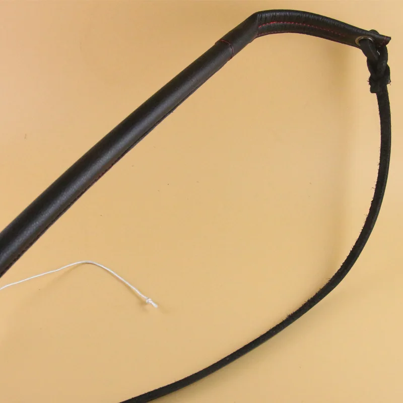 سوط الحصان، سوط تدريب الكلاب