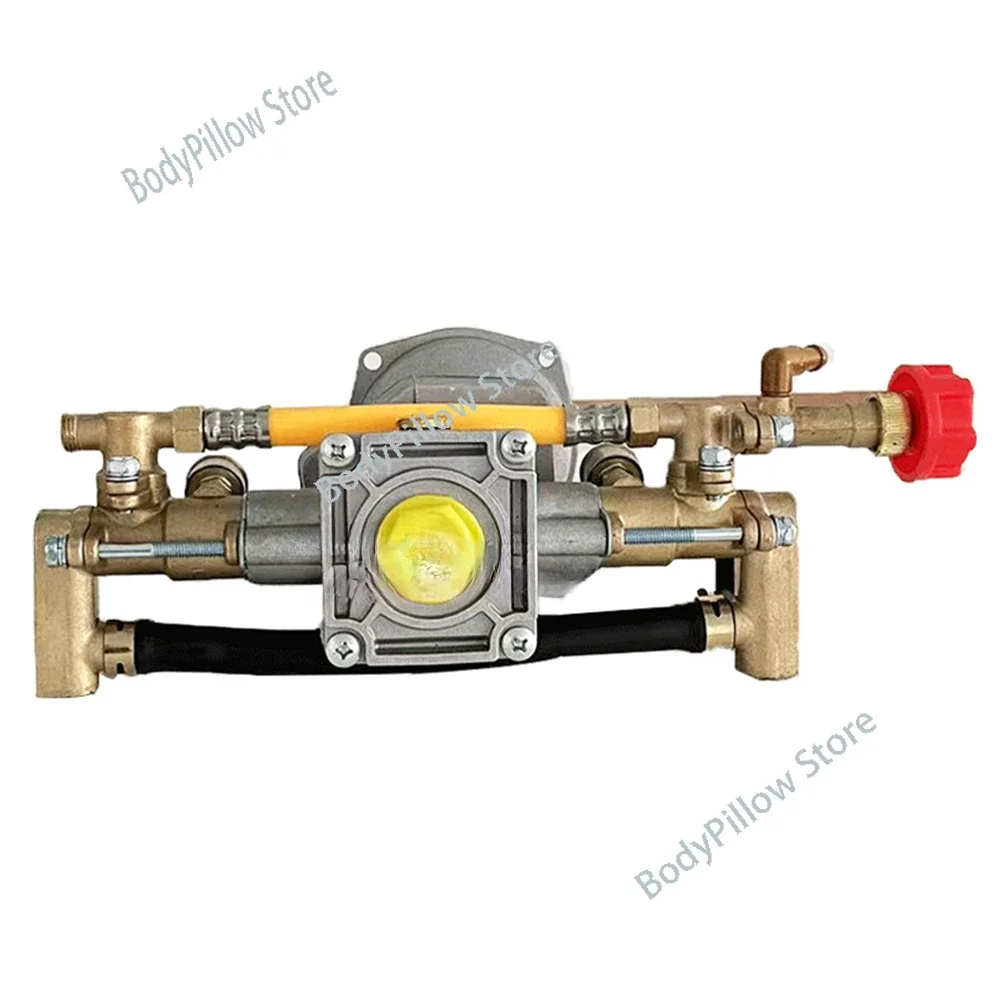 

Four Stroke Gasoline Plunger Copper Pesticide Pump High Pressure Sprayer Accessories 12L/min