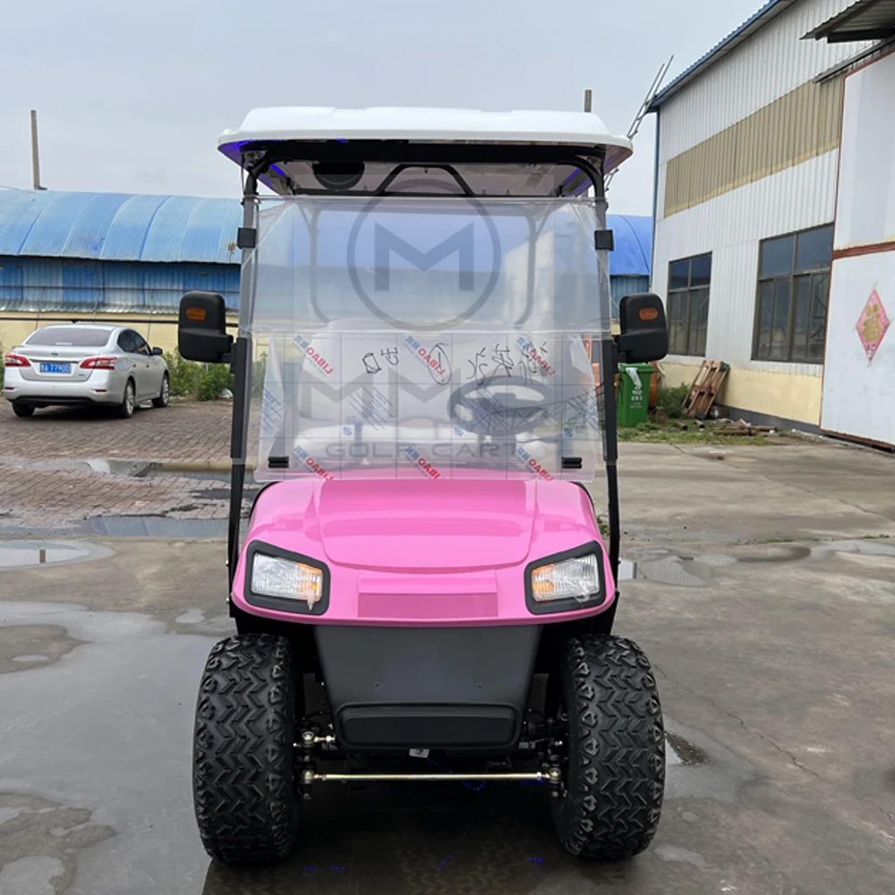 China Factory Manufacturer 2 - 8 Seats High Quality Sightseeing Electric Golf Cart Police Patrol Car 4KW/Lead Acid Battery