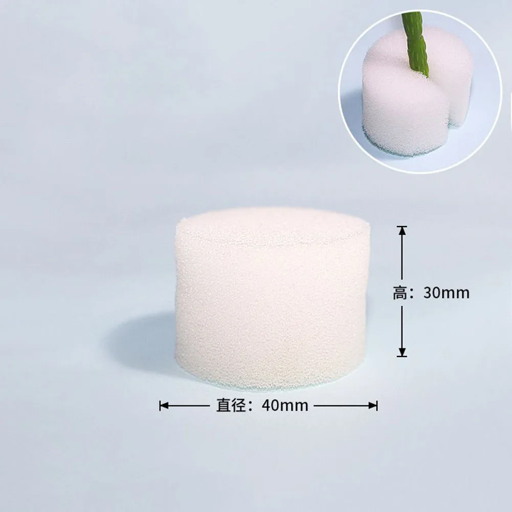 Practical Hydroponics Sponge Sponge Hydroponics Soilless Sprouting Agent Tool Tray Useful 100PCS/Set 30mm*32mm