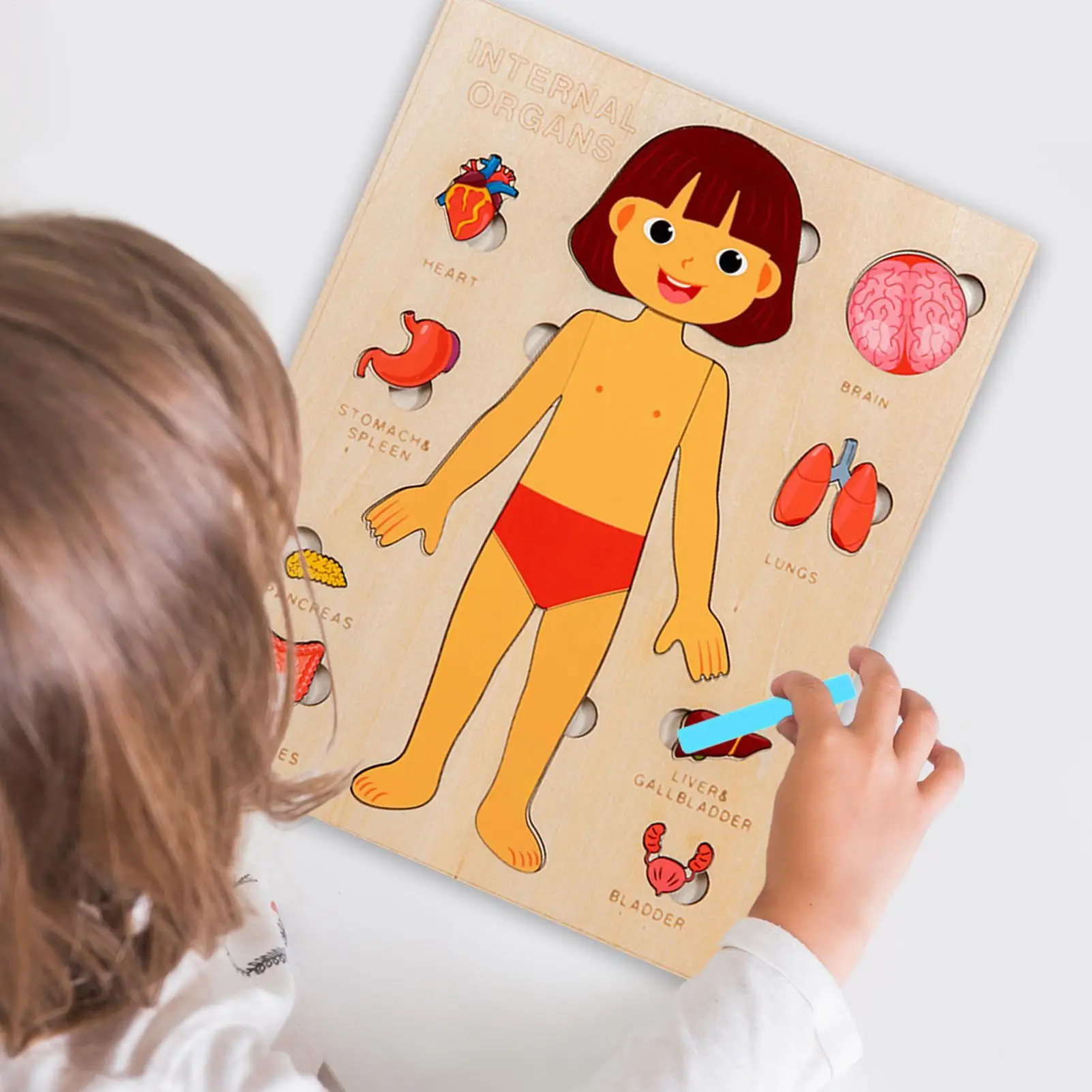 Anatomia humana para crianças, quebra-cabeça educacional de madeira para corpo humano, brinquedos científicos para crianças pequenas, viagens, meninos, meninas, jovens, escola hospitalar