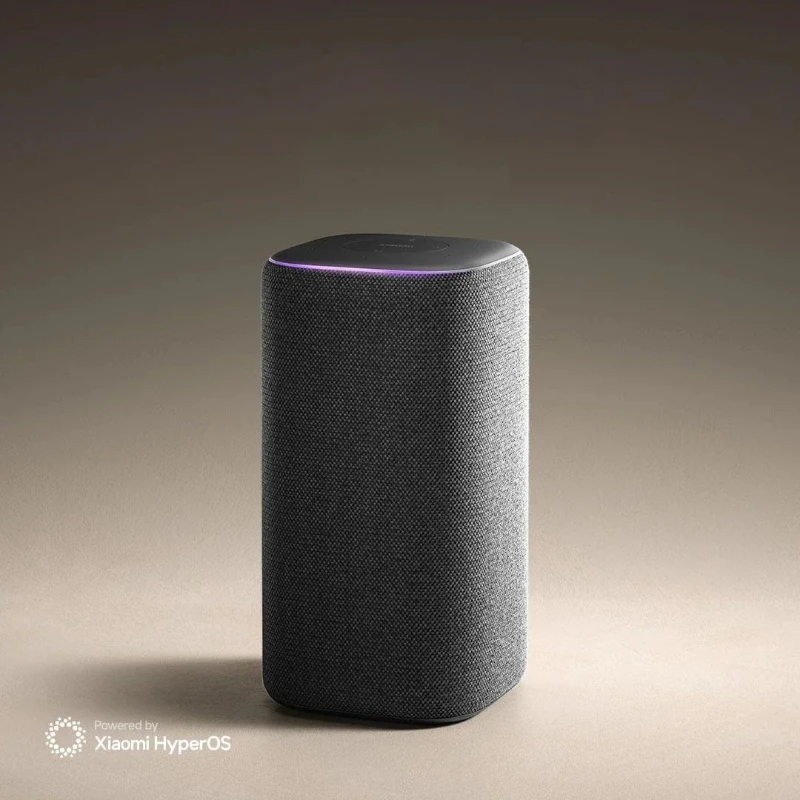 Xiaomi Smart Speaker Pro Bluetooth 5.0 Cinese AI Q&A Suono stereo Tipo-C Interfaccia Xiaomi Mesh 2.0 Telecomando a infrarossi