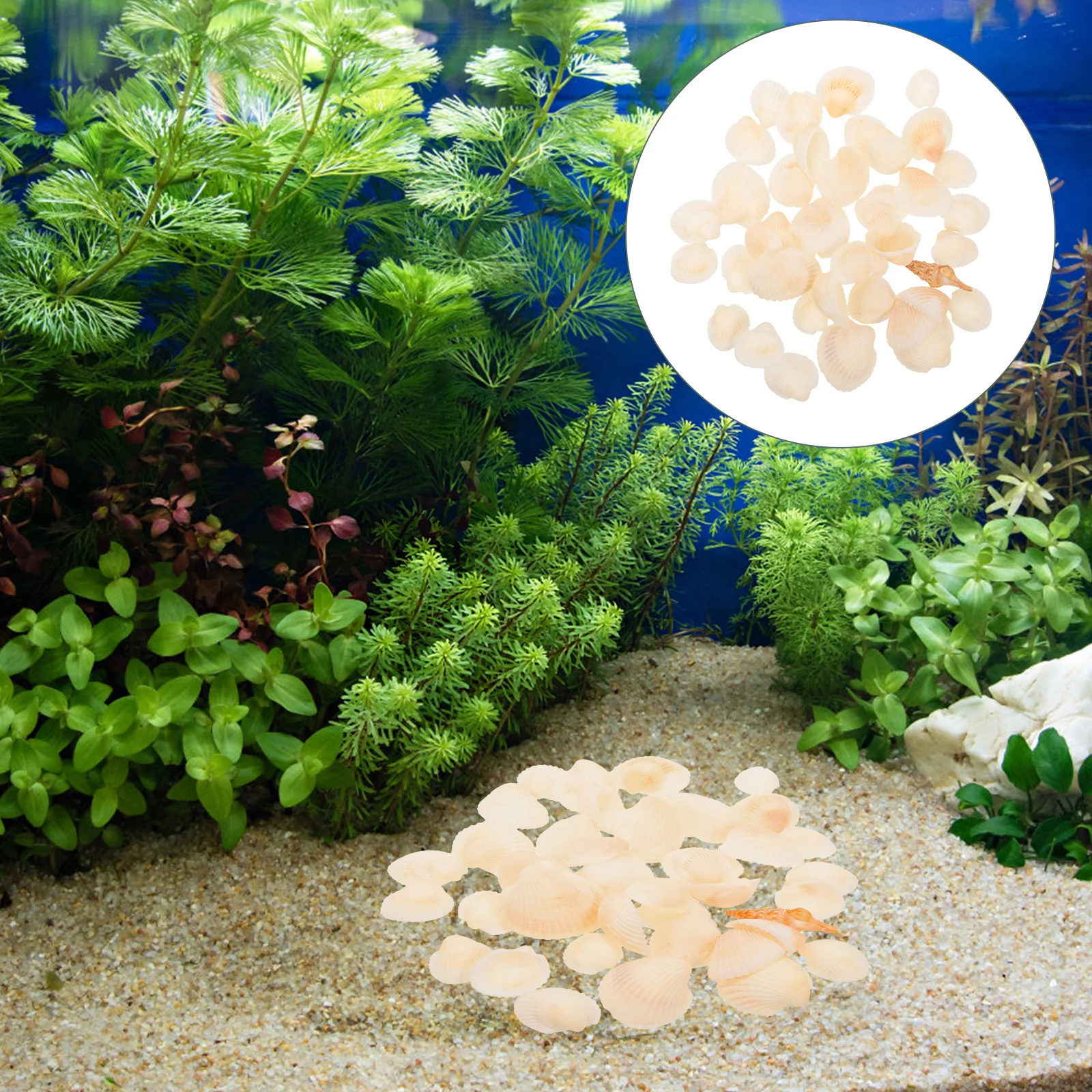 

Shell Decoration Set Craft Shells DIY Jewelry Making Ornaments Small Seashells for Aquarium Fish Tank