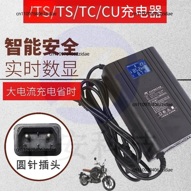 For Non-original Electric Vehicle TS/TC/CUDU/RU/CUmini Intelligent Riding Master Digital Charger