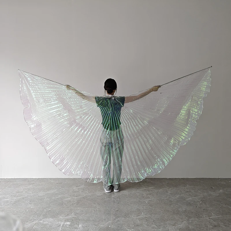 Remote Control Colorful LED Wings Belly Dance Performance Prop Women Dance Accessories Costume LED Butterfly Wings with Stick