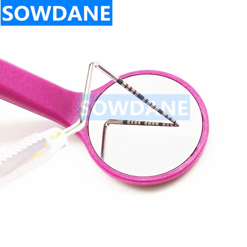 Dental Mouth Mirror Oral Examination Teeth Whitening Tool Teeth Cleaning Tool Silicon Handle with Endo Ruler