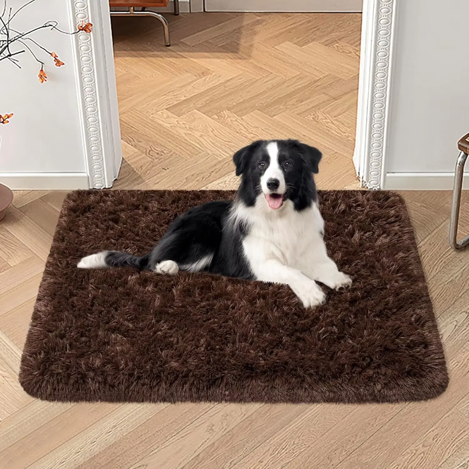 Karpet Sutra Dan Wol VIKAMA Le - Pet Supplies Dog Wash ulasan dan harga