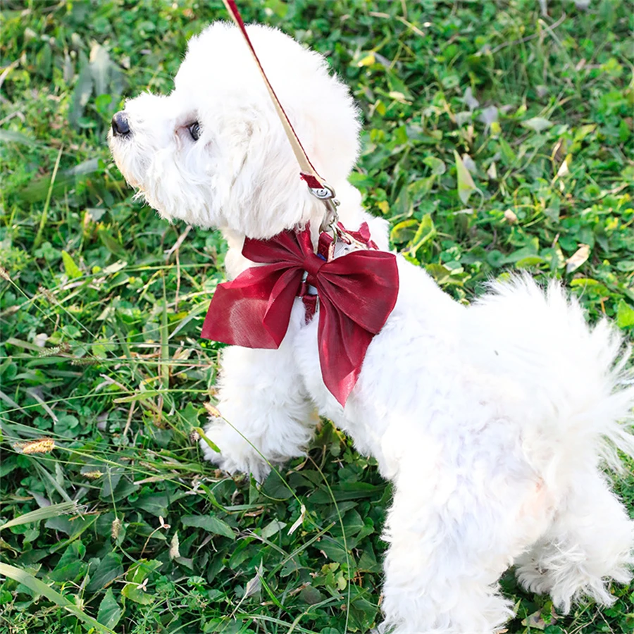 Dog Strap Leather Evening Dress Bow Neck Set Adjustable Cute Dog Strap Suitable for Small and Medium Pet Cat Collar Leather Outd