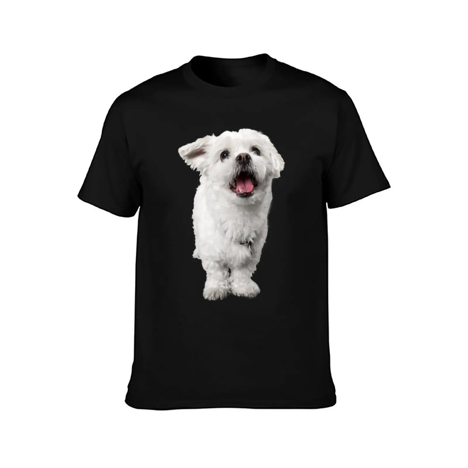 Bichon Maltes T-Shirt t shirt man plain T-Shirt