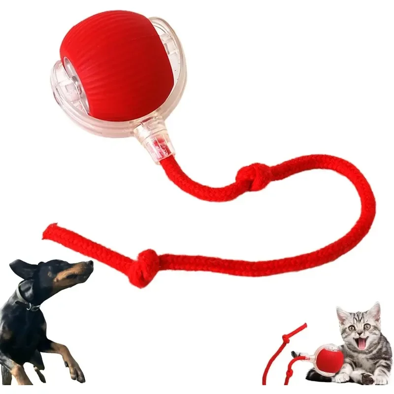 Interactive Cat Toy Motion Activated Fast Rolling Carpet Toy Interactive Auto Ball Toy Kitten Accessories Pets Products Pet Toys