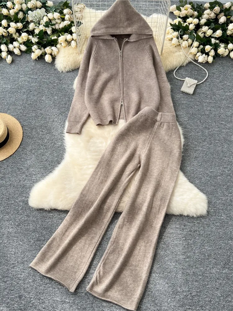 Women 2 Piece Knitted Sweater Pantsuits Winter Fashion Korean Blouses Tops and Casual Pants Set Elegant Female Hoodies Outfits