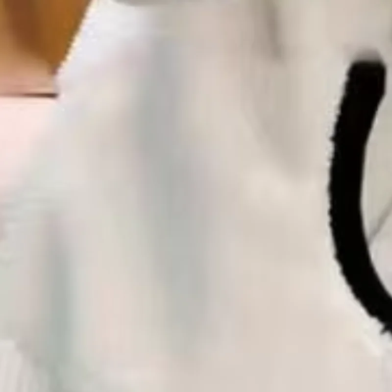 

2025 Новая женская одежда в западном стиле, осень-зима с толстым флисом, теплая меховая куртка с капюшоном, свободный модный капюшон в ленивом стиле,edtops