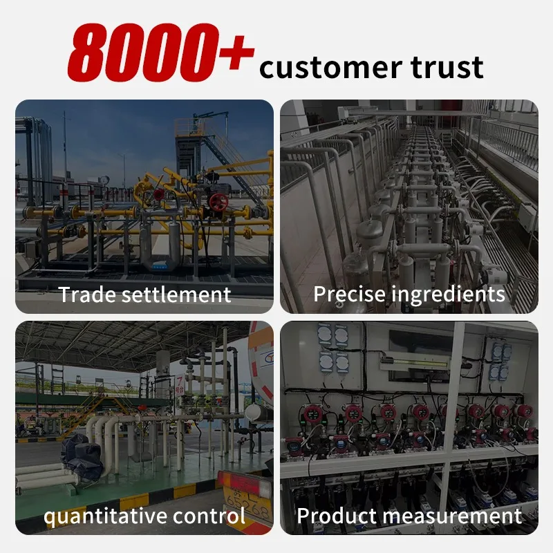 Oil Flow Meter Digital Inline Micromotion Coriolis Flow Meter Mass Flowmeter Mass Rate Sensor Indicator Gauge Controller for Liq