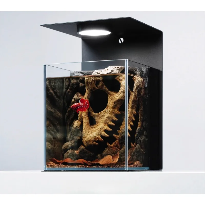 

micro-landscape fighting fish ultra-white glass home desktop small fish tank