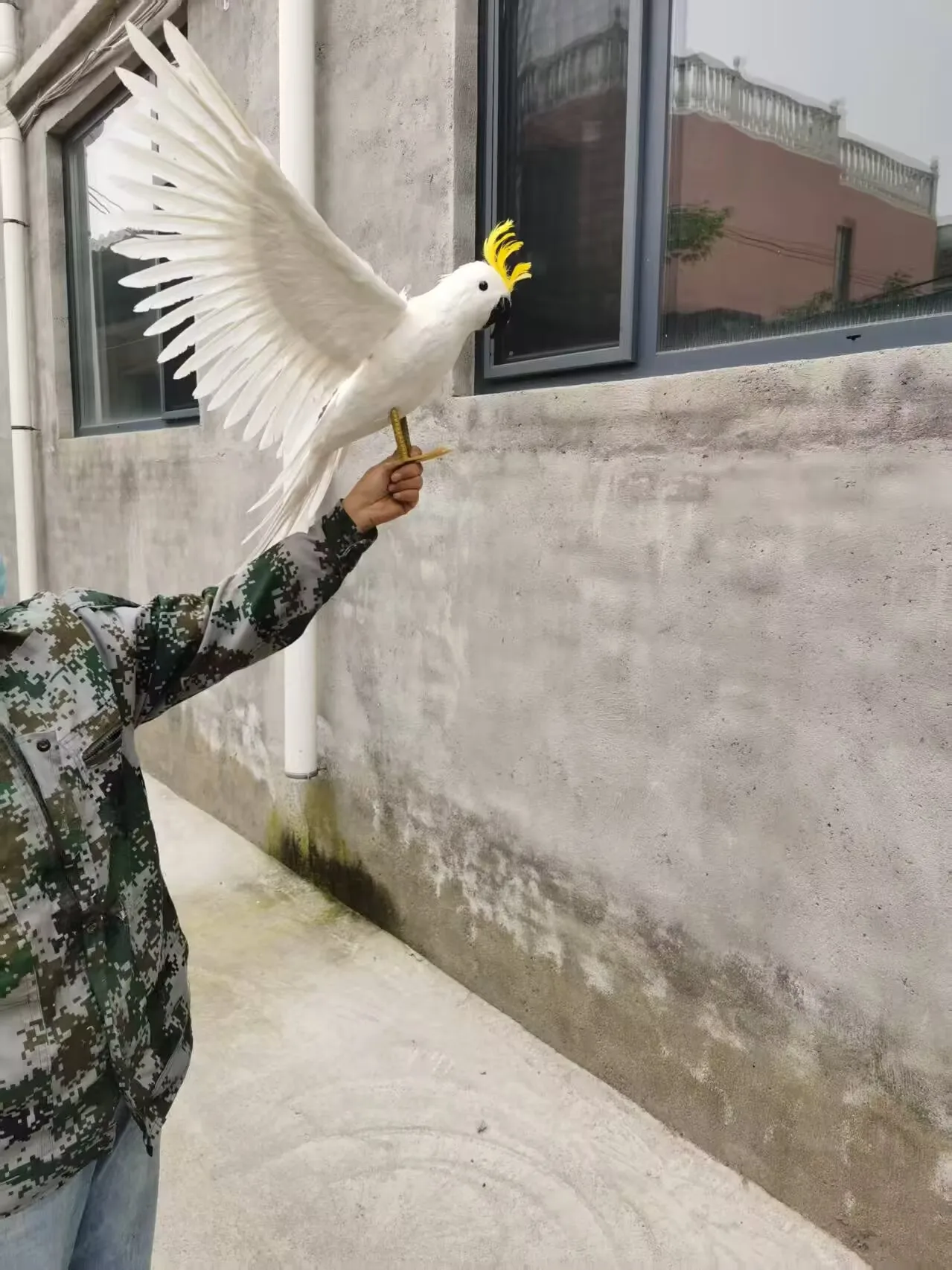big foam simulation parrot model garden decoration white wings feather bird gift about 60x100cm a0149
