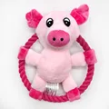 Pig