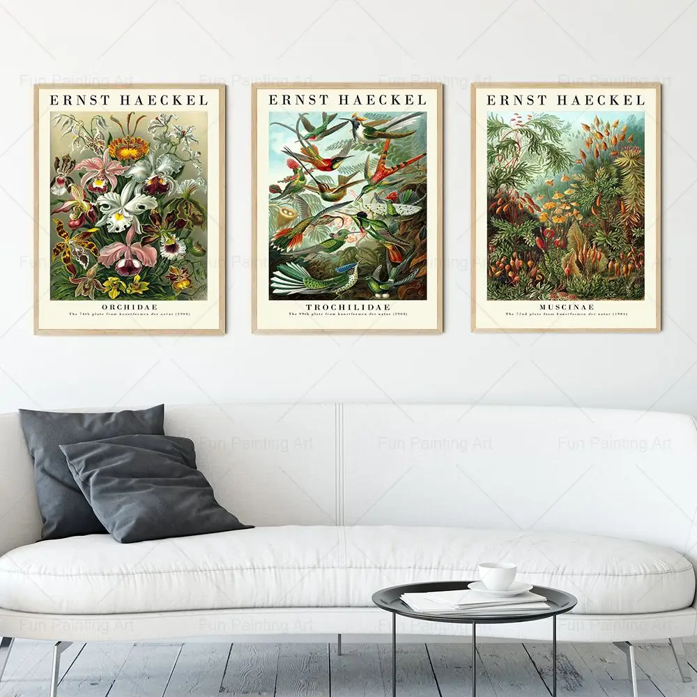 Vintage Ernst Haeckel Botanical Prints Flowers Birds Paintings Collection Canvas Poster for Living Room Home Decor Wall Pictures