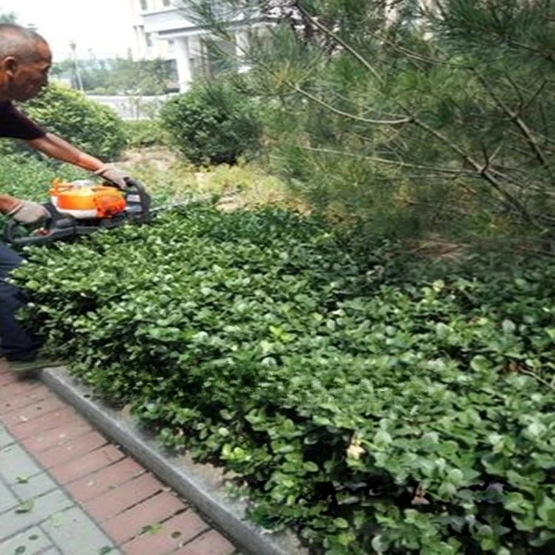 1PC Hedge Trimming Machine Park Vegetation Trimmer Garden Tool Portable Hedge Trimmer Gardening Machine