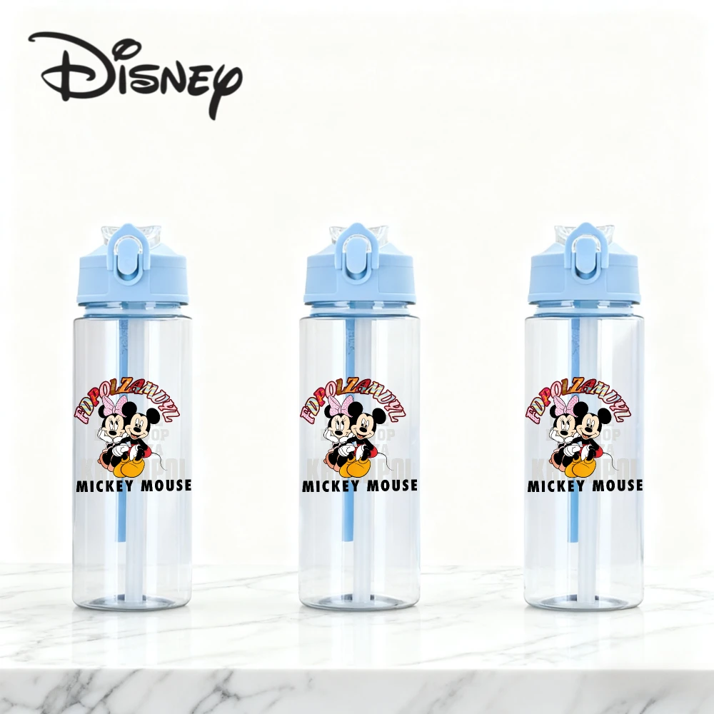 Novo disney minnie mouse bonito dos desenhos animados copo de palha meninas crianças estudantes resistente a gota novo verão vidro de água bonito