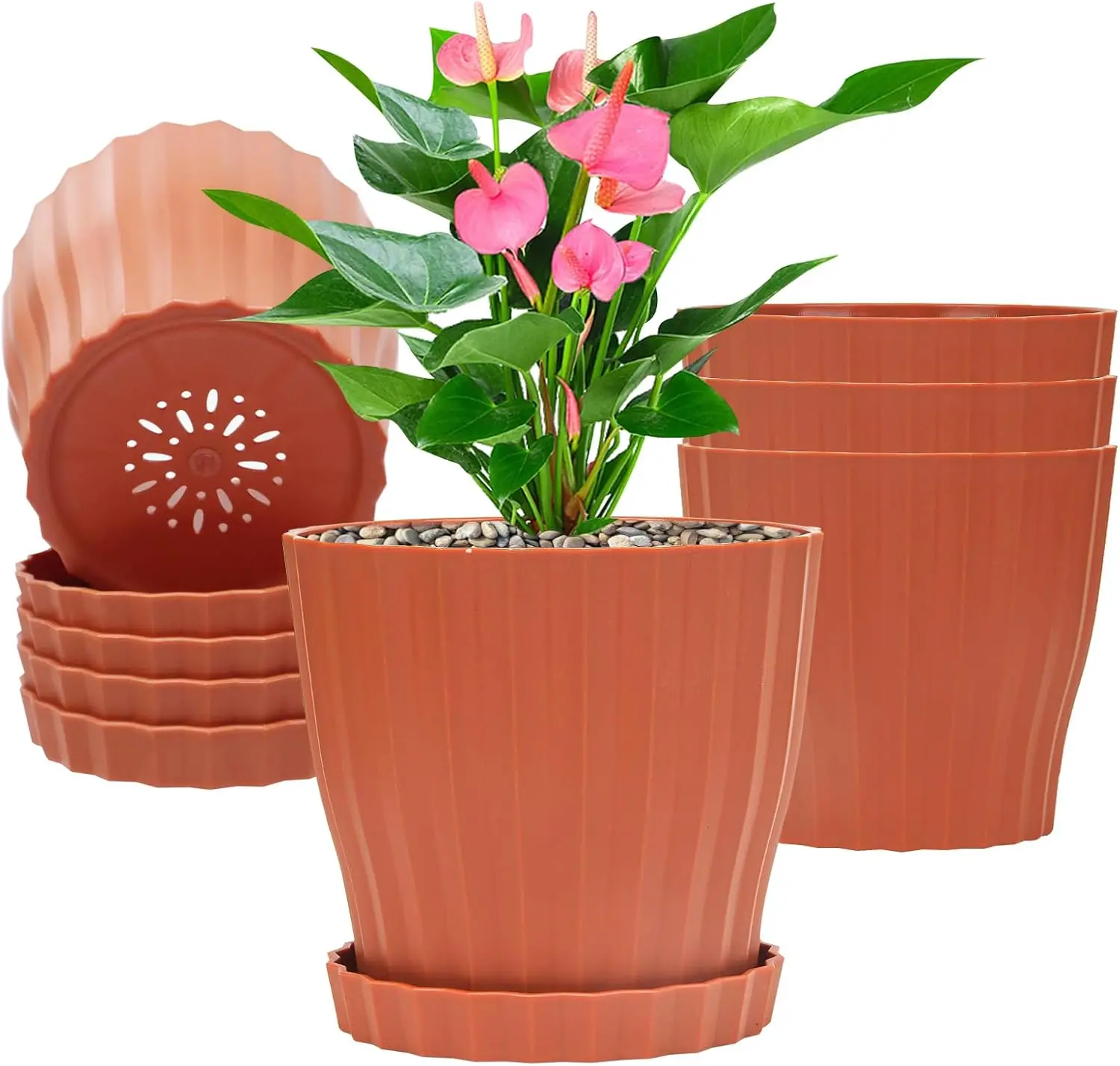 

5 Pack 6 inch Plastic Flower Pots with Drainage Trays, Indoor Outdoor Planters for Succulents, Cactus, Herbs, Modern Home Decor