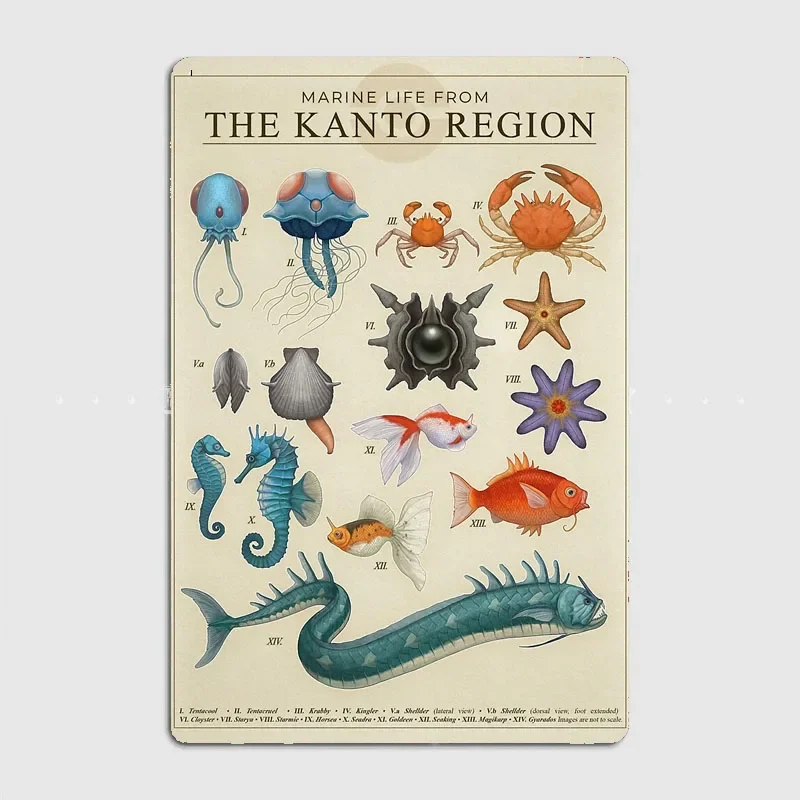 Marine Life from Kanto  Metal Tin Sign Posters Metal Room Wall Decorations Living Custom Home Decor