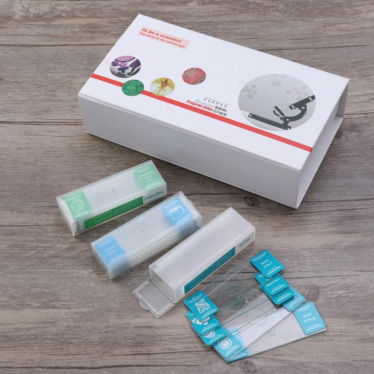 

35 PCS/ Specimen Microscopic Slide Assorted Collection Microscope Slides Science Education Kit HD
