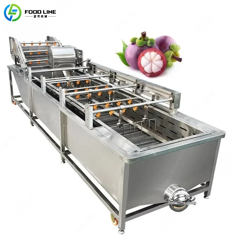 Customized Automatic Fruit and Vegetable Bubble Washing Machine Sprinkler System Commercial Food Processing Equipment