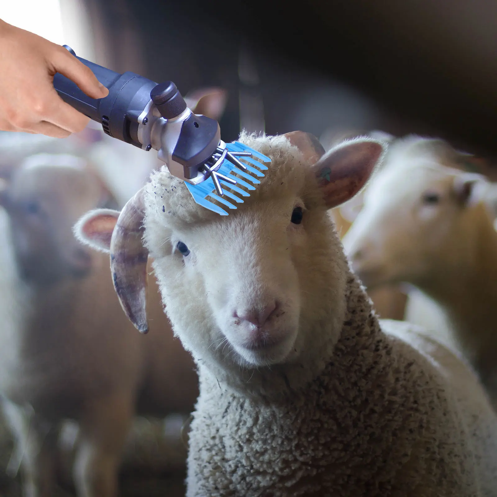 

2Pcs Detachable Sheep Shear Guide Replacement for Electric Shears Professional Trimmer Attachment for Accurate Hair Cutting