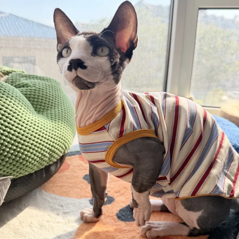 Chaleco sin mangas de algodón arcoíris para Sphynx y Devon Rex - imagen 3